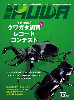 ビークワ BE-KUWA 6号・8号・9号・14号〜21号 全11冊一括 むし社