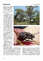 最新の「月刊むし」