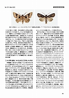 最新の「月刊むし」 最新の「月刊むし」