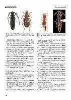 最新の「月刊むし」 最新の「月刊むし」