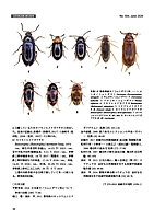 最新の「月刊むし」